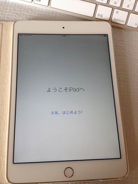 16ipadmini4_2
