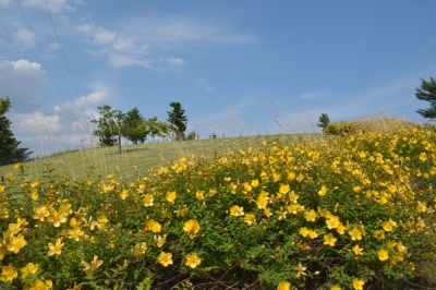 中央公園_3