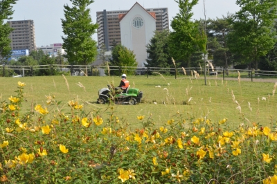 中央公園_4