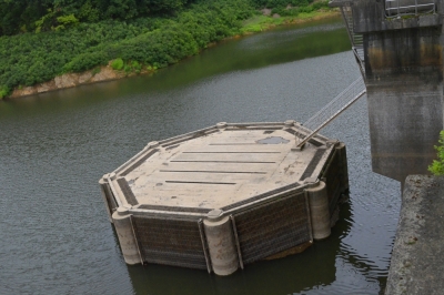 dam2
