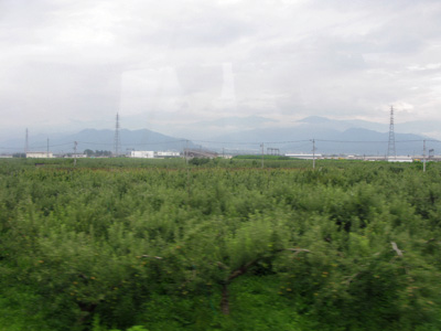 819.jpg