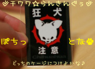 ¤Ë¤Û¤ó¥Ö¥í¥°Â¼ ¸¤¥Ö¥í¥° ¥Á¥ï¥ï¤Ø