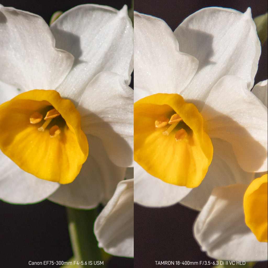 EF75-300mm F4-5.6 IS USMというレンズ | Dfでゃなきゃ困る