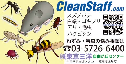 CleanStaff.com¹¹ð¥Ð¥Ê¡¼