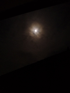 100330_223202.jpg