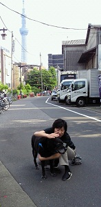 スカイツリーと