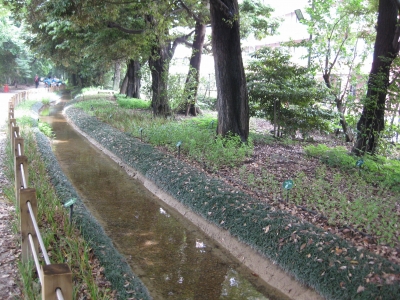 小川、完成