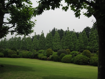 いつもの風景