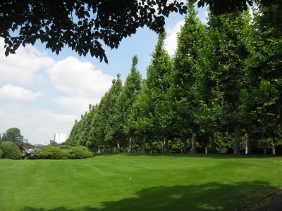 2012・7・10