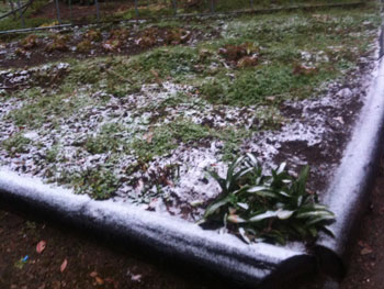 2012年12月9日初雪
