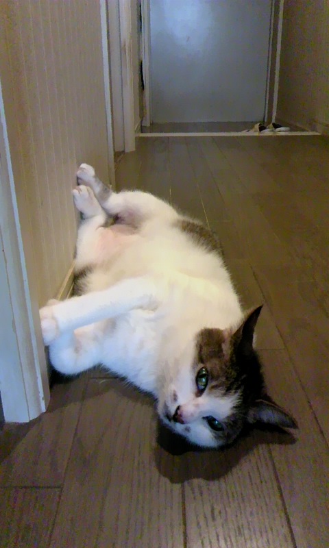 150801_0914~01.jpg