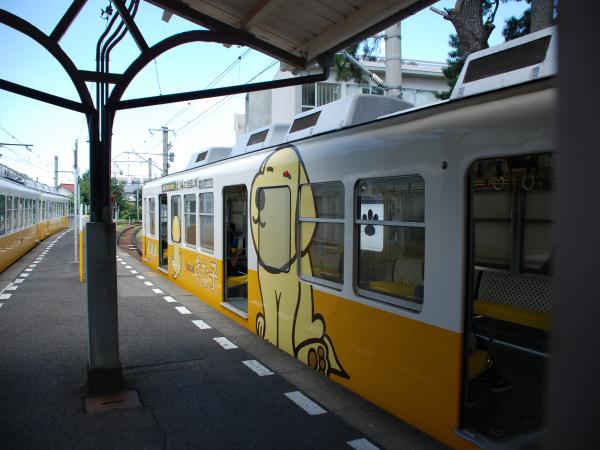 きなこ