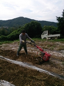 管理機まぐろ