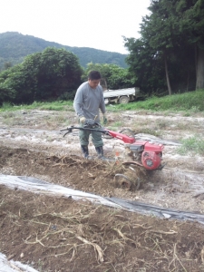 管理機まぐろ