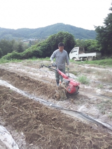 管理機まぐろ