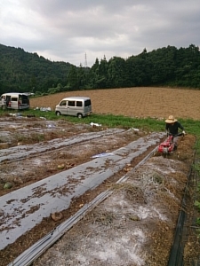 フェロモン　管理機