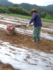 管理機　まぐろ