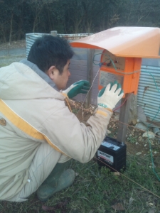 電気柵　まぐろ