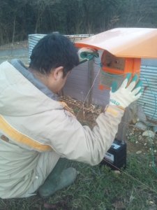 電気柵　まぐろ