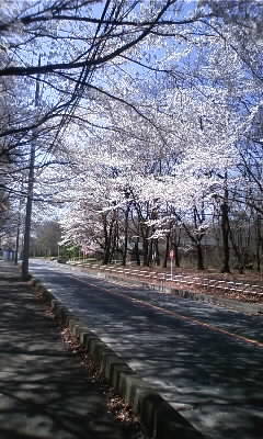 080401_1132~02.JPG