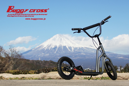 Buggy cross