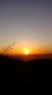 20090101070201.jpg