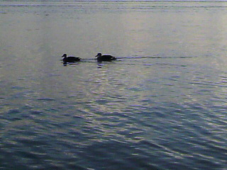2014122315030000.jpg