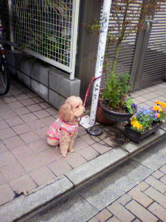 2015041113580000.jpg