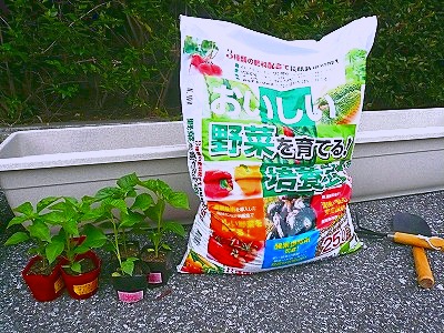 苗、土.jpg