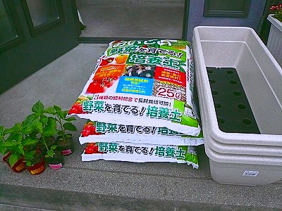 苗、土、プランター.jpg