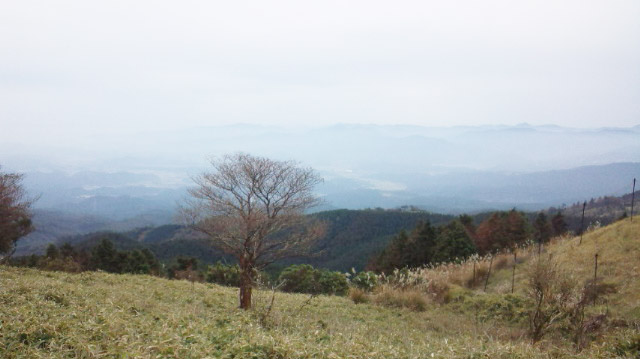 111103_134349.jpg