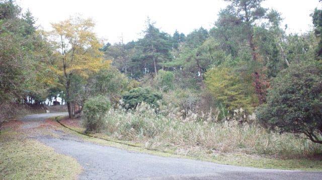 111103_140213.jpg