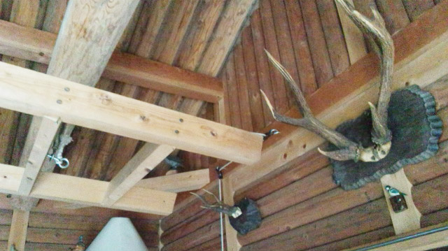 111103_141552.jpg
