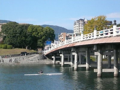 琵琶湖撮影11月12日 030.jpg