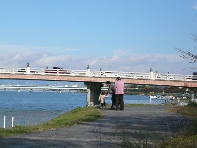 琵琶湖撮影11月12日 042.jpg