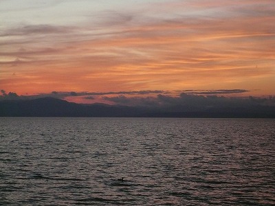 琵琶湖撮影11月12日 218.jpg