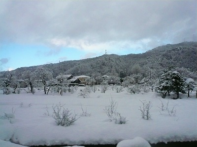 2012.1.31(余呉雪).JPG