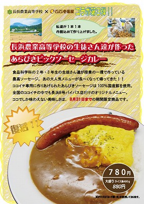 ĹÉÍÇÀ¶È¹â¹»¤¢¤é¤Ó¤£Ó¥«¥ì¡¼¡Ú2012.7.£±〜8.31¡Û.jpg