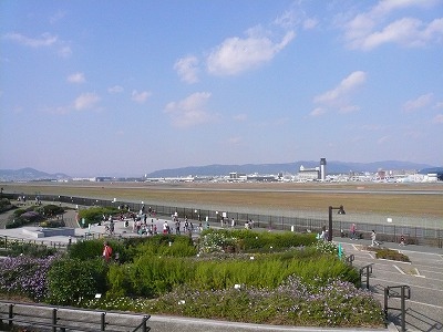 P1080727.jpg