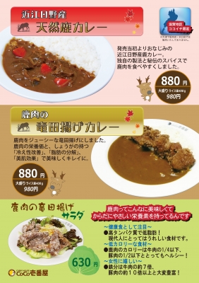 鹿、竜田H25.jpg