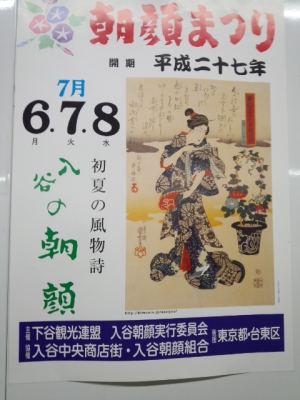 2015朝顔市