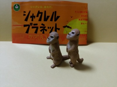 シャクレルプラネット