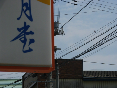 見守るツバメの父