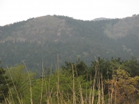 2014.5.5山