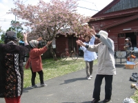 2015花見