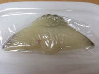 くじら 五つ盛り