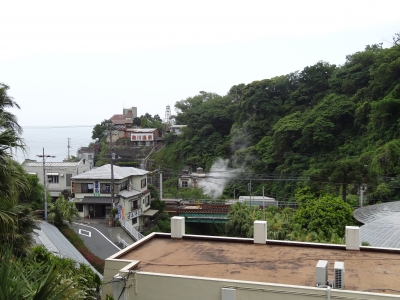熱川 バナナワニ園