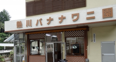 熱川 バナナワニ園