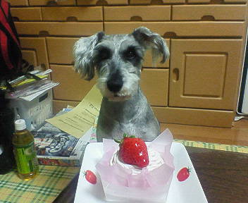 20070327_296485.jpg