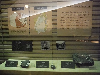 DSCF3300_s.jpg
